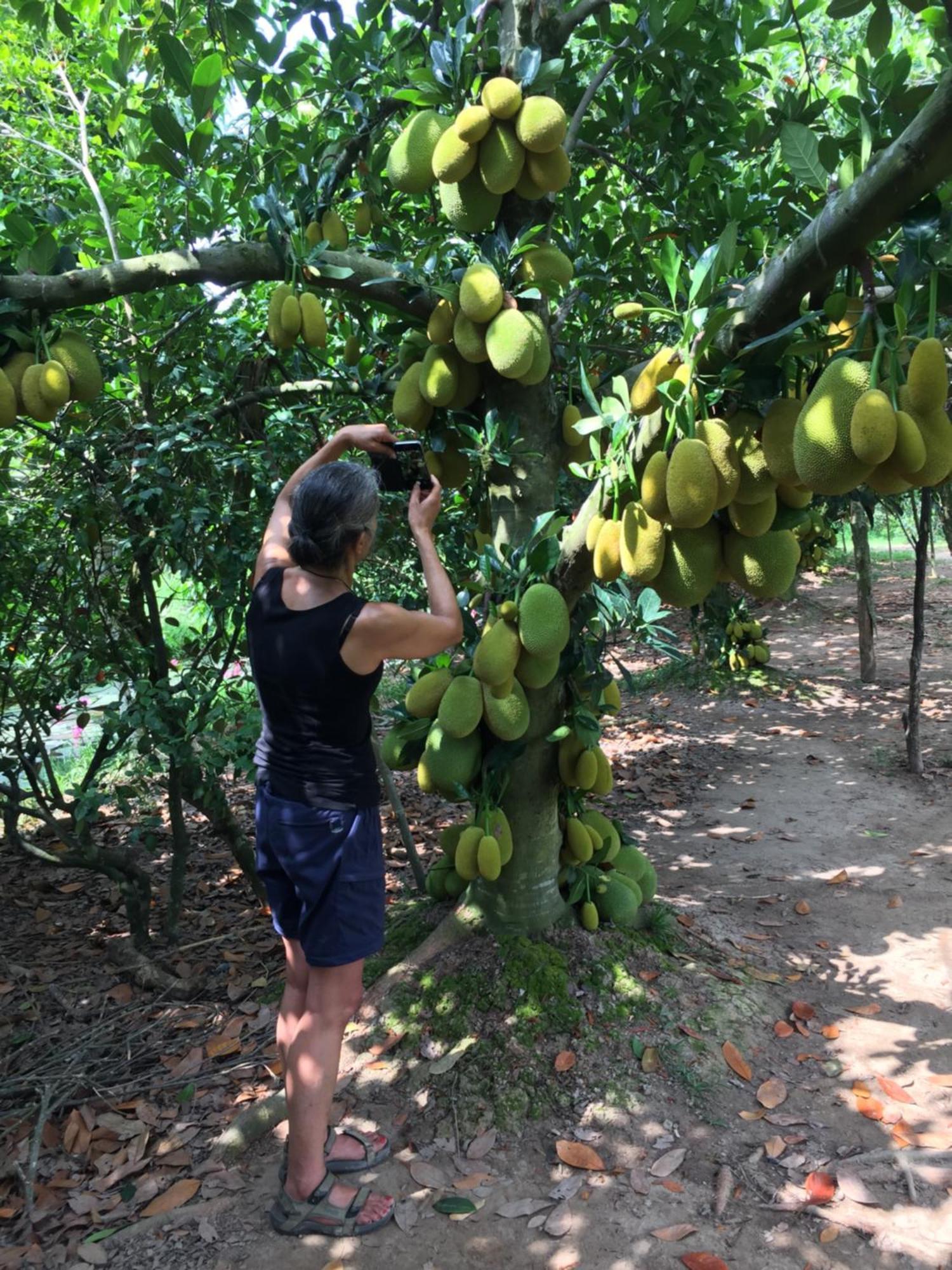 Mekong Farmstay Cantho - C.R Floating Market Cần Thơ Extérieur photo